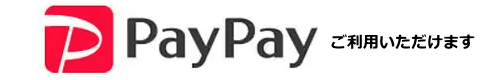 pay_pay 使用可